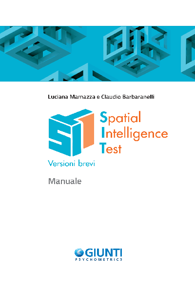 SIT - Spatial Intelligence Test