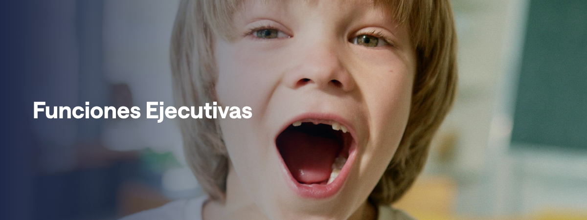 Funciones Ejecutivas Funciones Ejecutivas