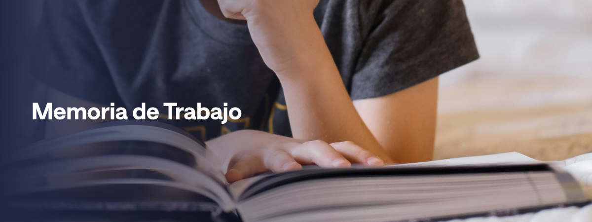 Memoria de Trabajo